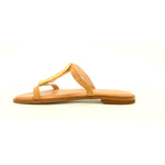 CAMEL/GOLD