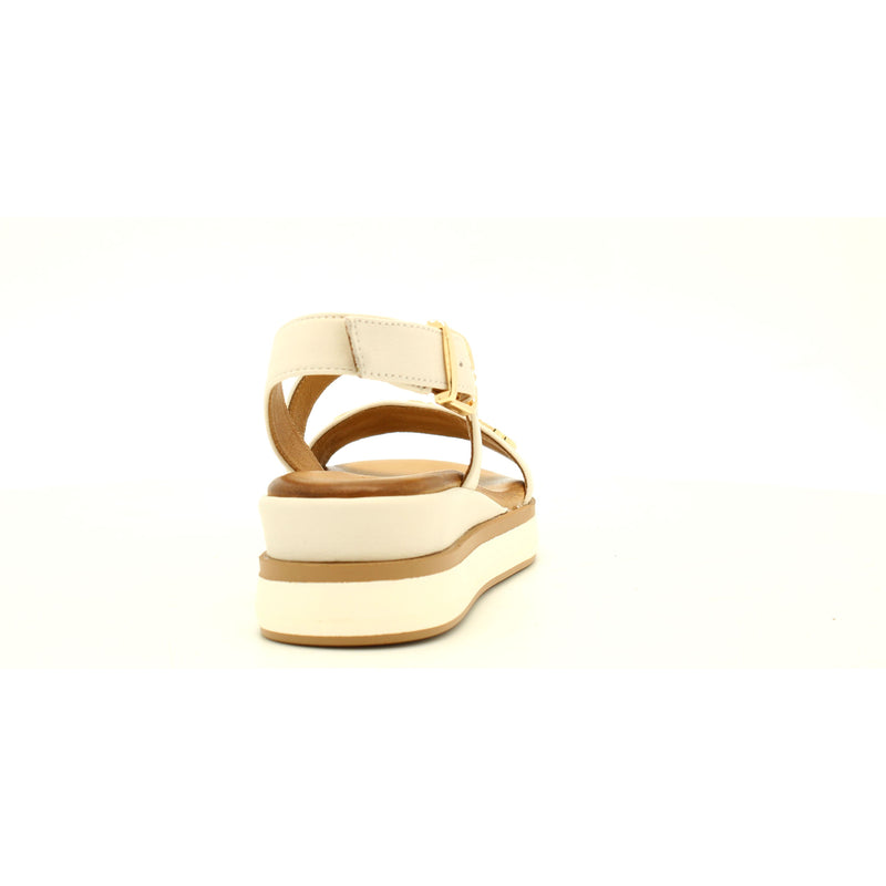 CREMA