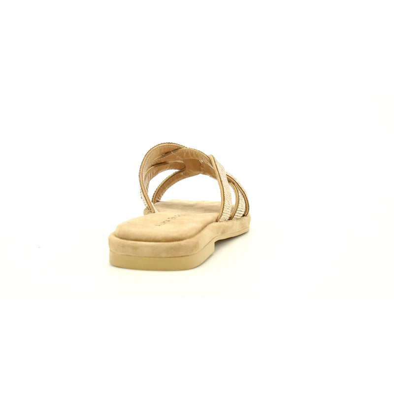 SAND