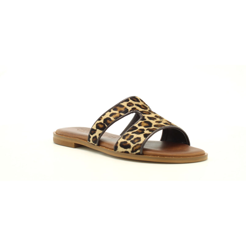 BROWN/LEOPARD