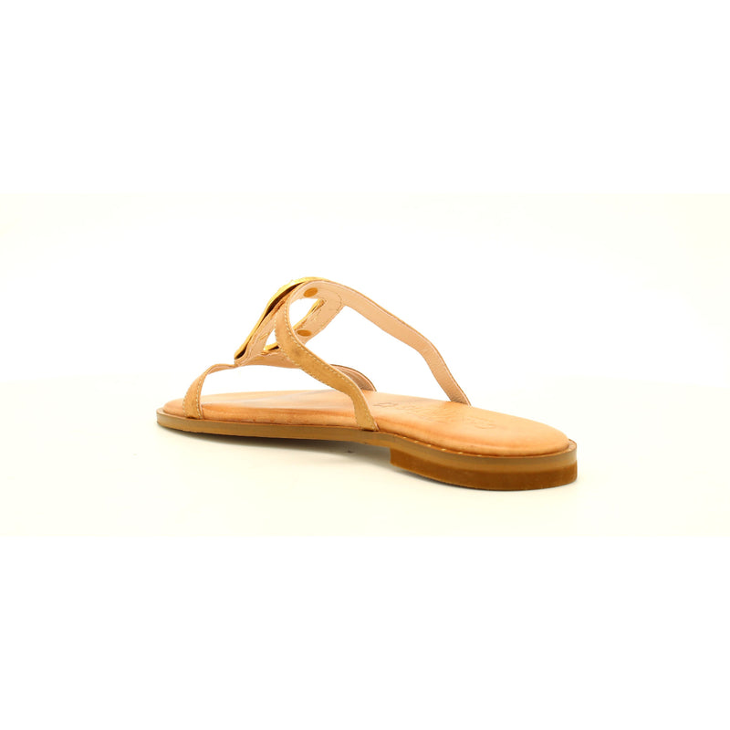 CAMEL/GOLD