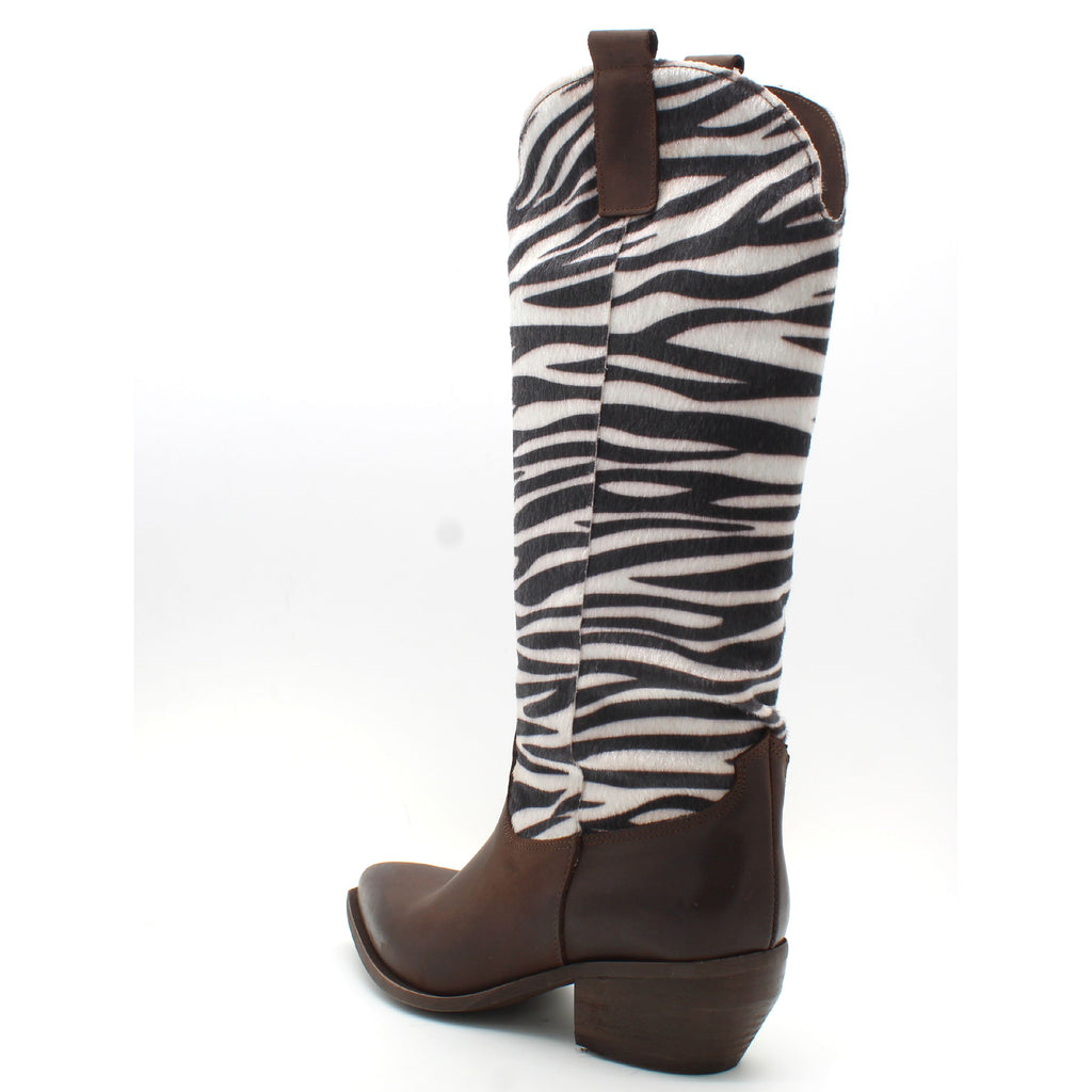 TESTA DI MORO/ZEBRA