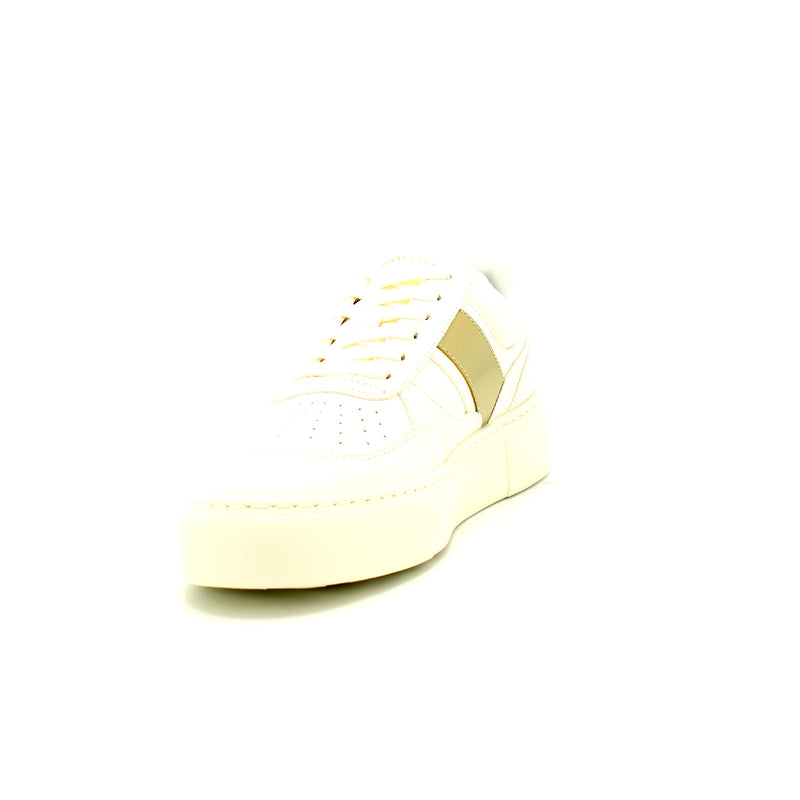 T779 OFF WHITE+PALE GOLD