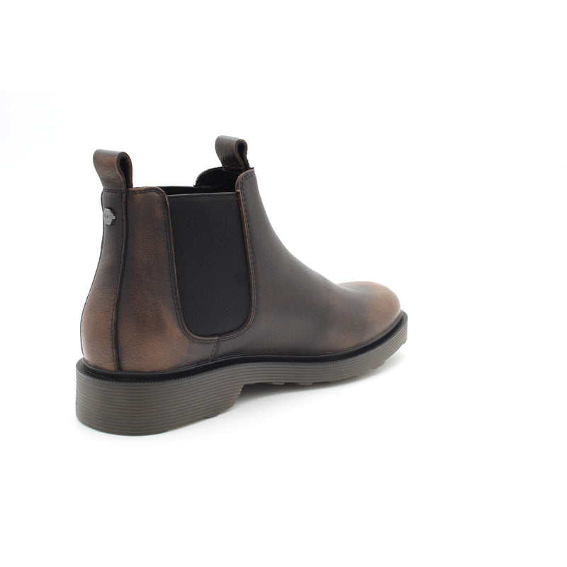 BLACK/BROWN
