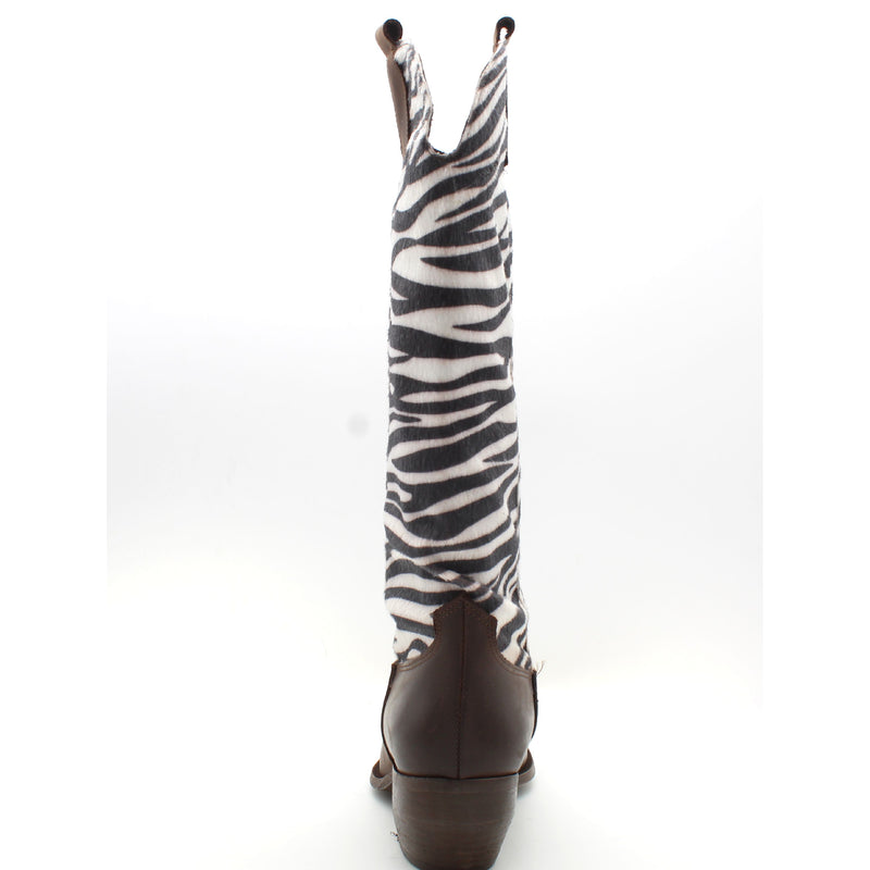 TESTA DI MORO/ZEBRA