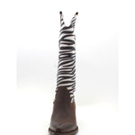TESTA DI MORO/ZEBRA