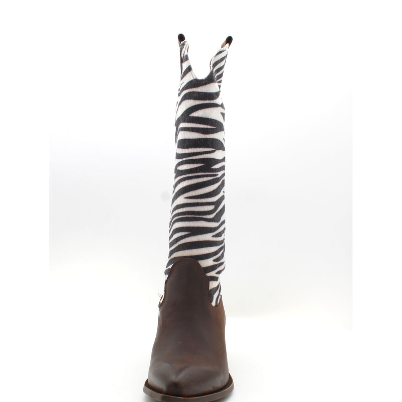 TESTA DI MORO/ZEBRA