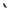 SCARPA Nero G.p..x..noy