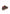 SNEAKERS Tdm Ambitious