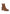 SCARPA Camel Xti