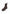 SCARPA Marron Xti