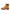 SCARPA Wheat Timberland