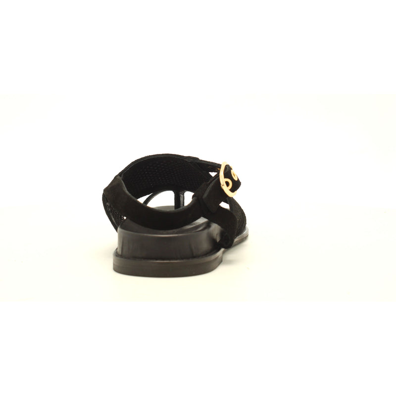 SD BLACK