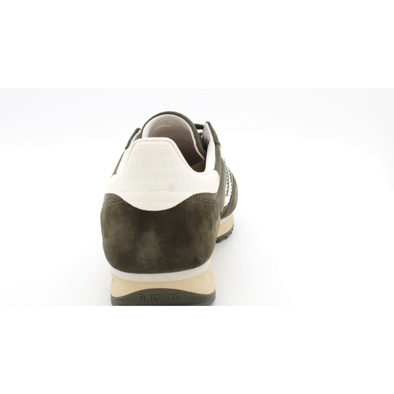 OLIVE/MILK