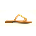 CAMEL/GOLD