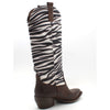 TESTA DI MORO/ZEBRA