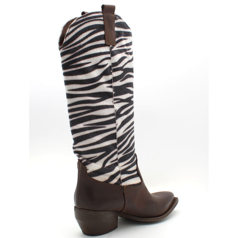 TESTA DI MORO/ZEBRA